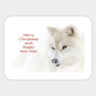 Christmas Wolf Sticker